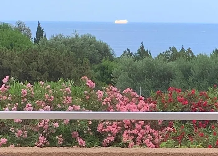 U Latonu Holiday home Porto-Vecchio (Corsica)